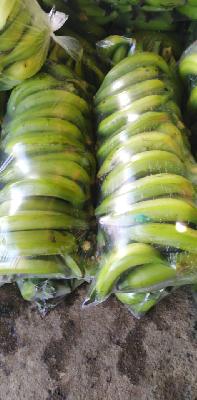 PLATANO DOMINICO HARTON VERDE