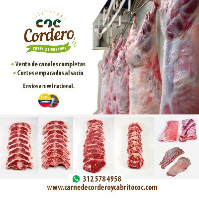 Carne de Cordero