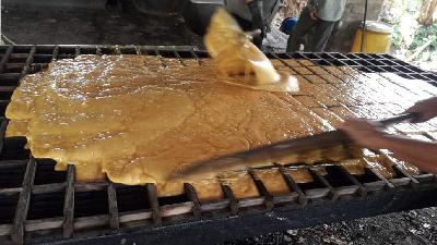 Finca Panelera Mompos