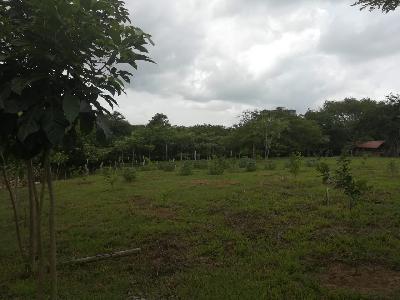 Venta de lotes campestres para estrenar, Arjona, Bolívar.