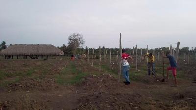 Vendo Finca en Montería apta para piscicultura y agricultura opción de avicultura y porcicultura.