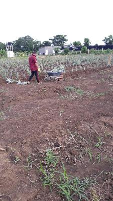 Vendo Finca en Montería apta para piscicultura