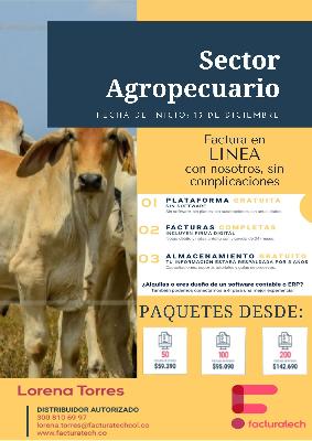 Servicio de facturacion electronica