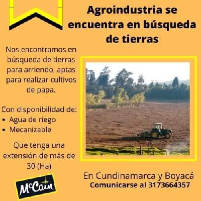 SE REQUIERE TIERRAS PARA TOMAR EN ARRIENDO 