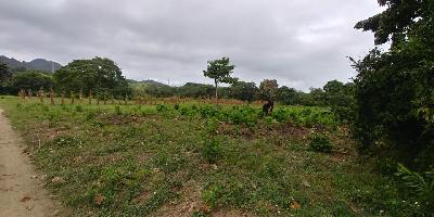 Lote en venta 2 hectáreas 