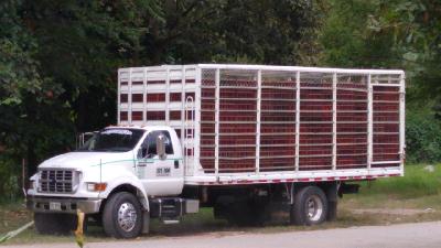 Camión Ford 8000 Cap. 10Tons